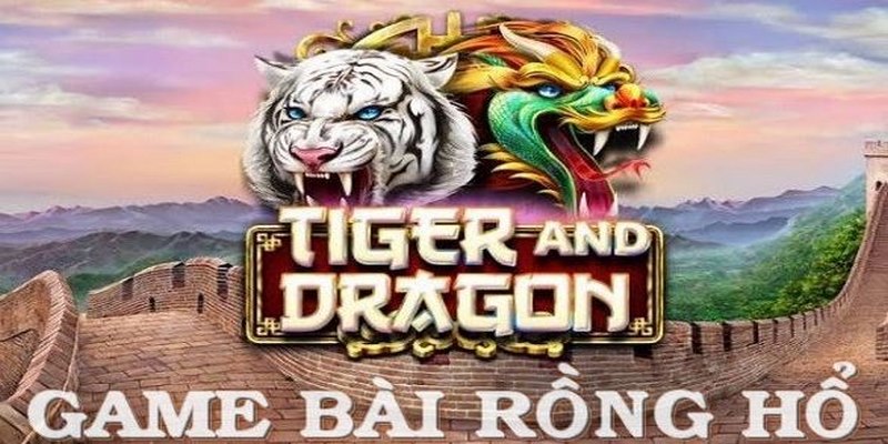 Rồng Hổ VN86 – Bí Quyết Bách Chiến Bách Thắng Cho Người Mới